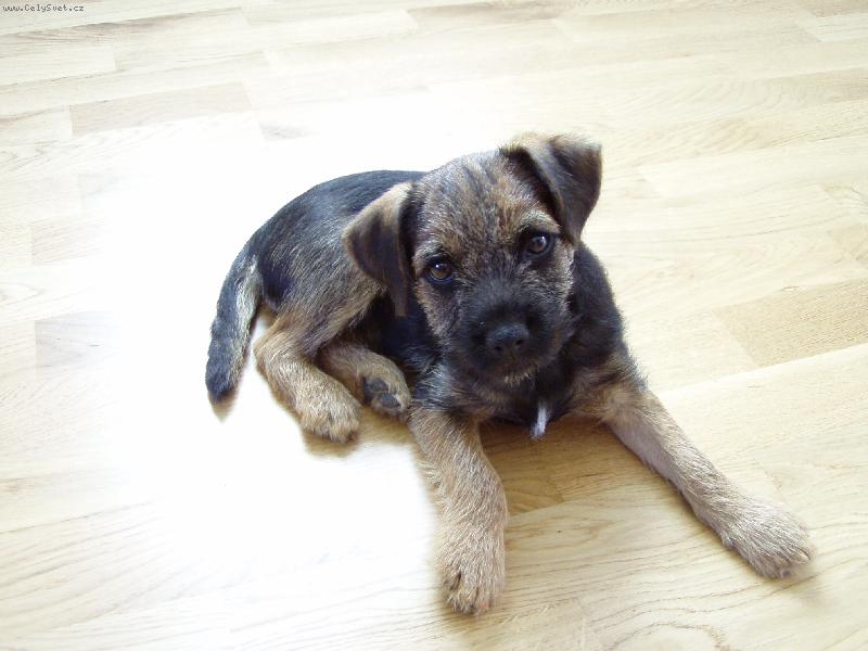 Foto: Vanesa z Osta�ova