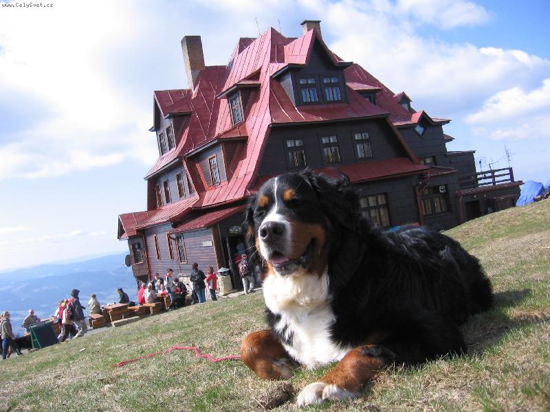 Foto: JESSIE Z HODOLAN-Beskydy 2007