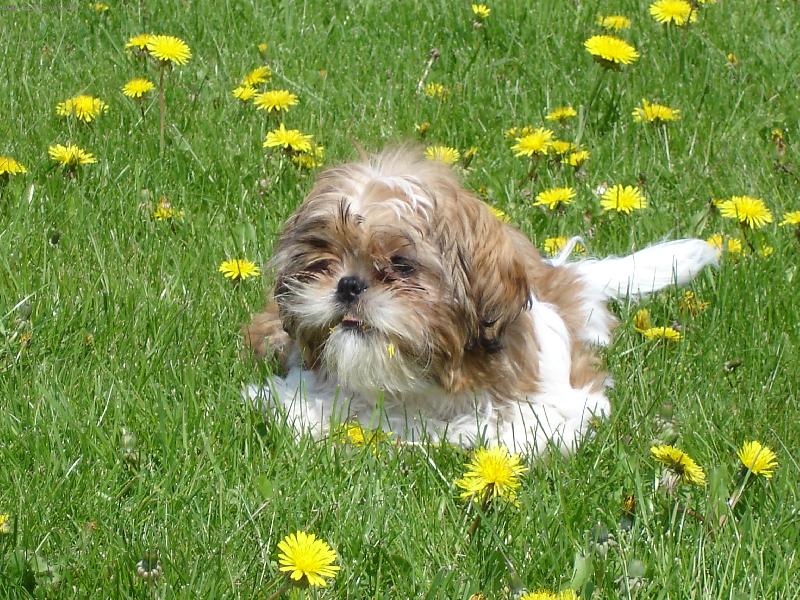 Foto: Bublinka-Na v�let�