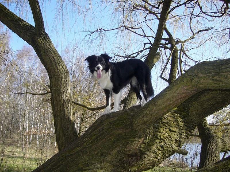 Foto: Bessynka-to je v�hled:-)