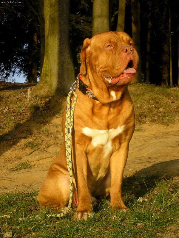 Foto: Na v�let�-:-)