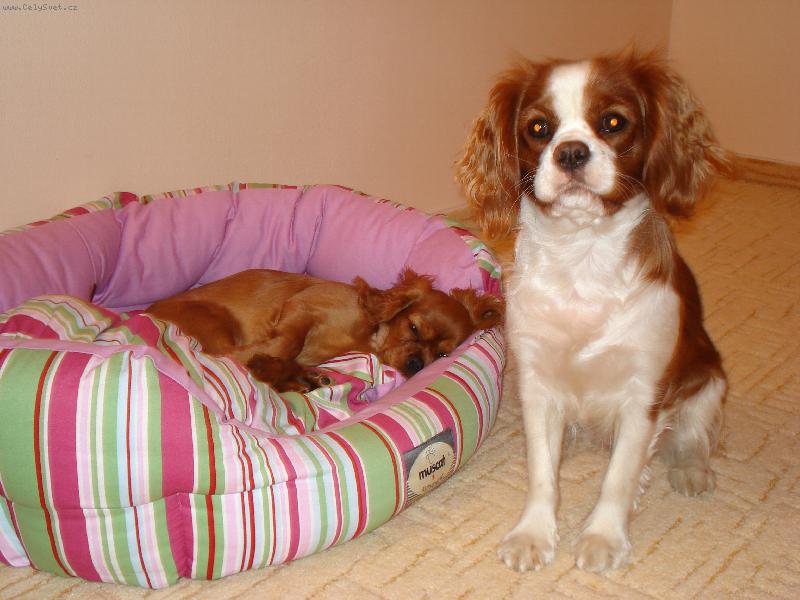 Foto: Lilinka a Anetka-... co pak se ji asi zd�?