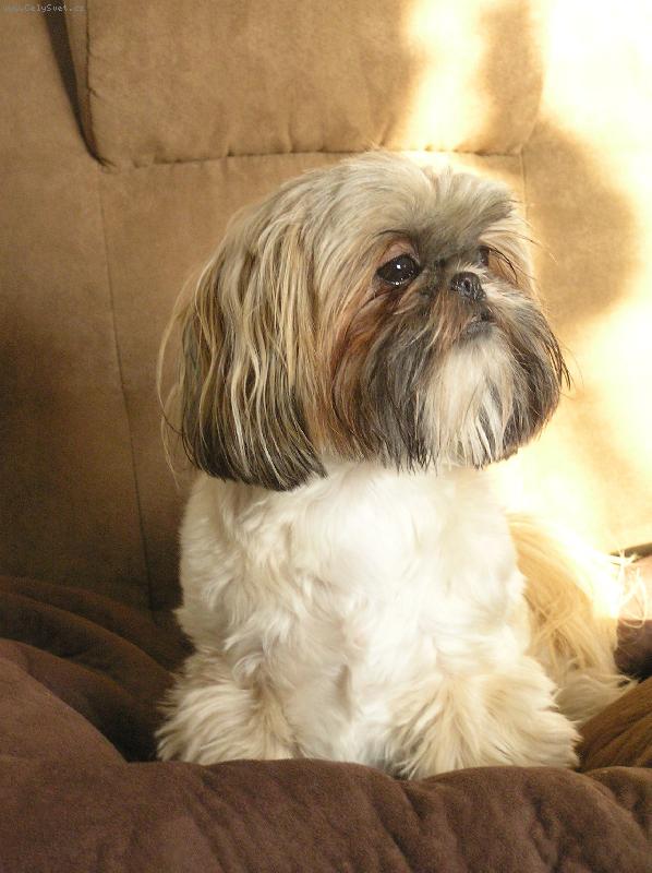 Foto: N� mil��ek Aisha