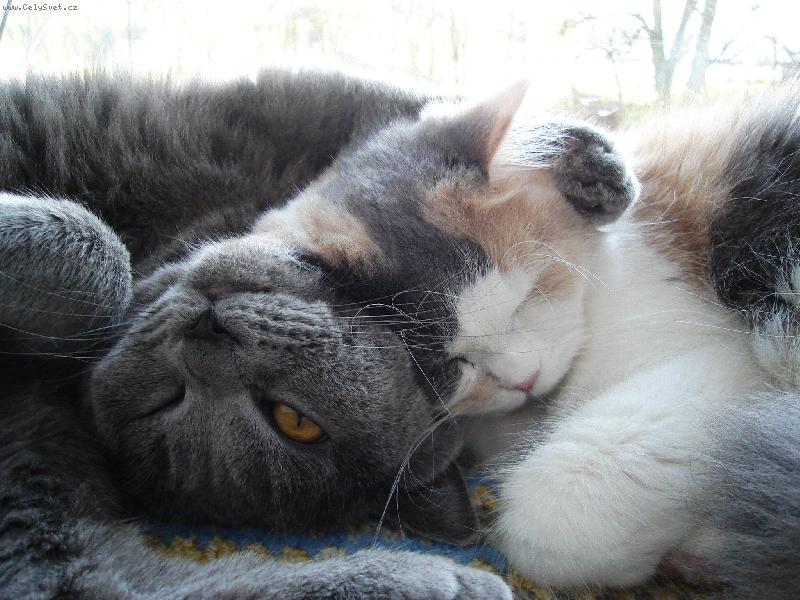 Foto: Ben a M�a-M�me se r�di