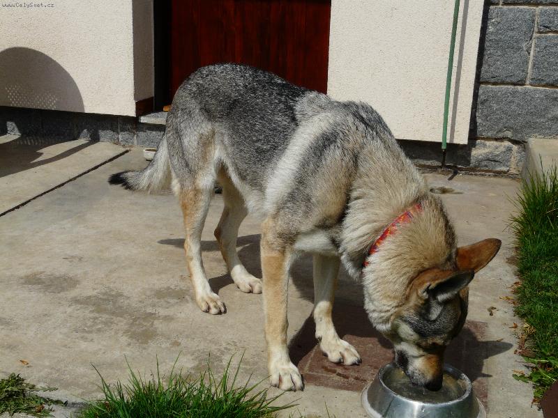 Foto: Obi od �ho�t� to je ��a-www.obioduhoste.wz.cz