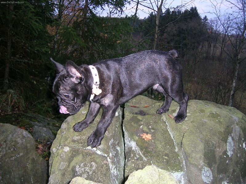 Foto: Jazz-J�, tam bude n�jak� dobrota !