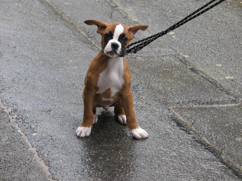 Foto: Arty venku-fu�� jak  hrom :-)