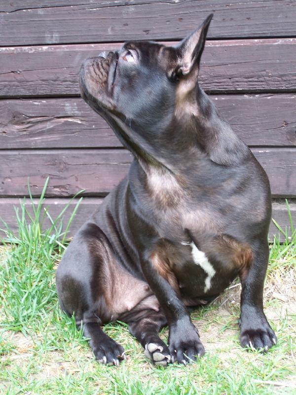 Foto: Lucky-u� m� nefo�