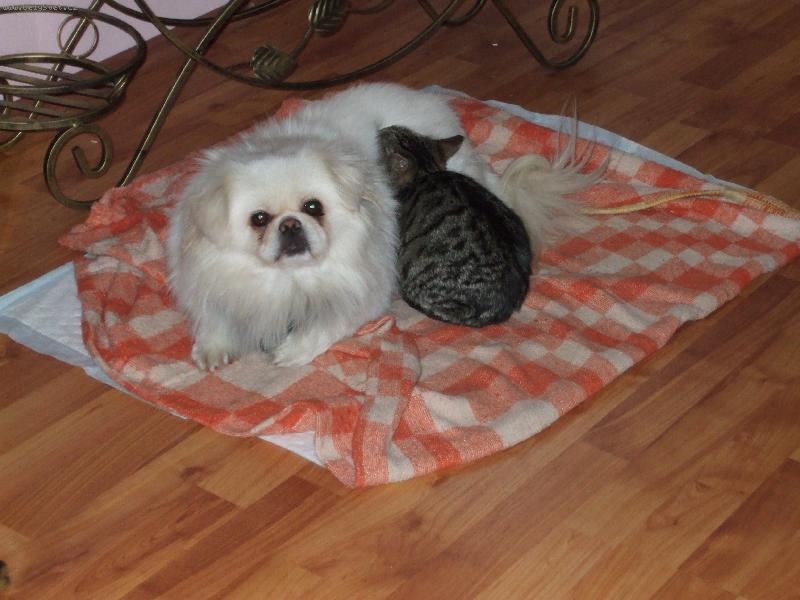 Foto: Tak to som ja Ady-Na� mazn��ik si zase lebed�