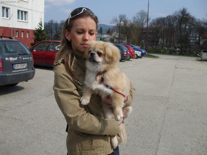 Foto: Falko-Na�e �teniatko, ktor� ma super domov a my sme ��astn� spolu s n�m.