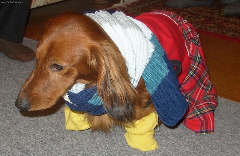 Foto: Ulrik z Vrch�nova-to je n� baron ve sv�te�n�m