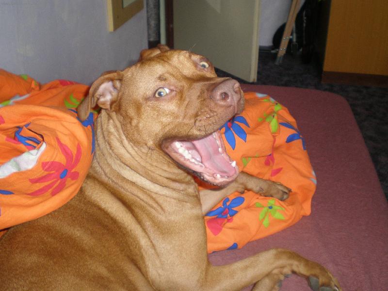 Foto: Sherry-ha ha ha !!!