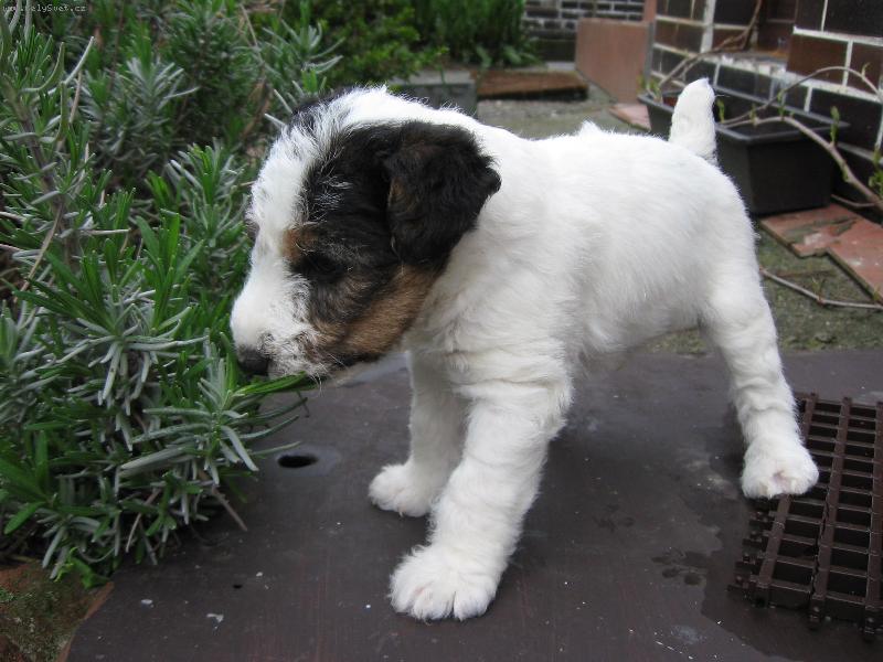 Foto: ...zase n�co nov�ho