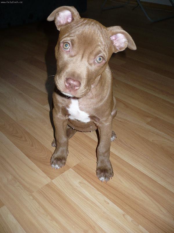 Foto: gjhgjhg-12tydnu