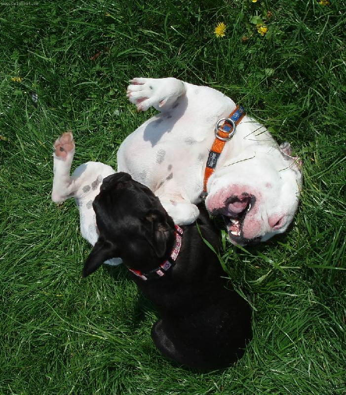 Foto: Mike, Baru�ka-��d�n� v tr�v�