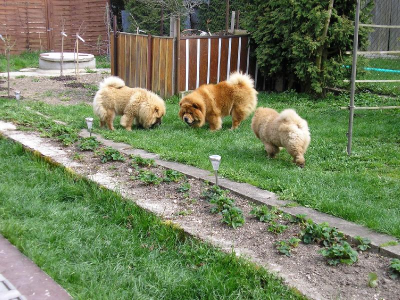 Foto: setk�n� �au��k�-Jouinka, Nelinka a M�a