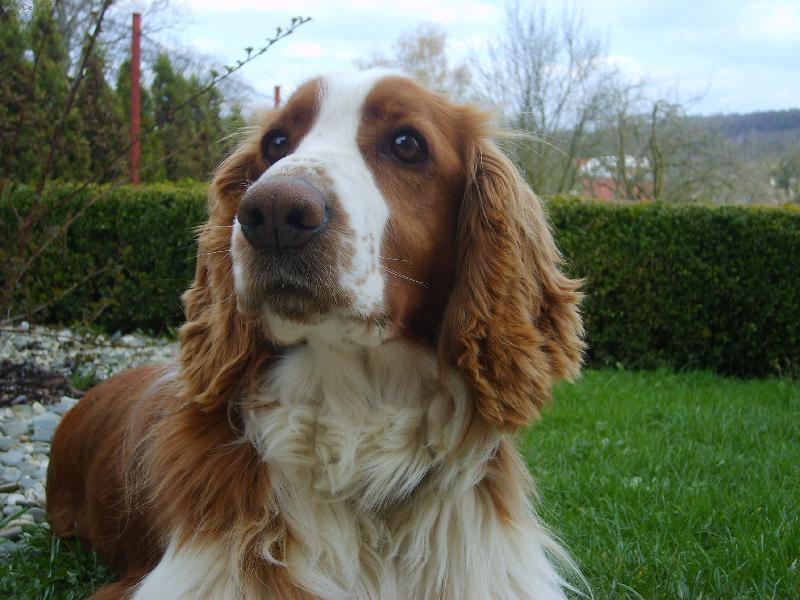 Foto:  Besinka-Na�e Besinka