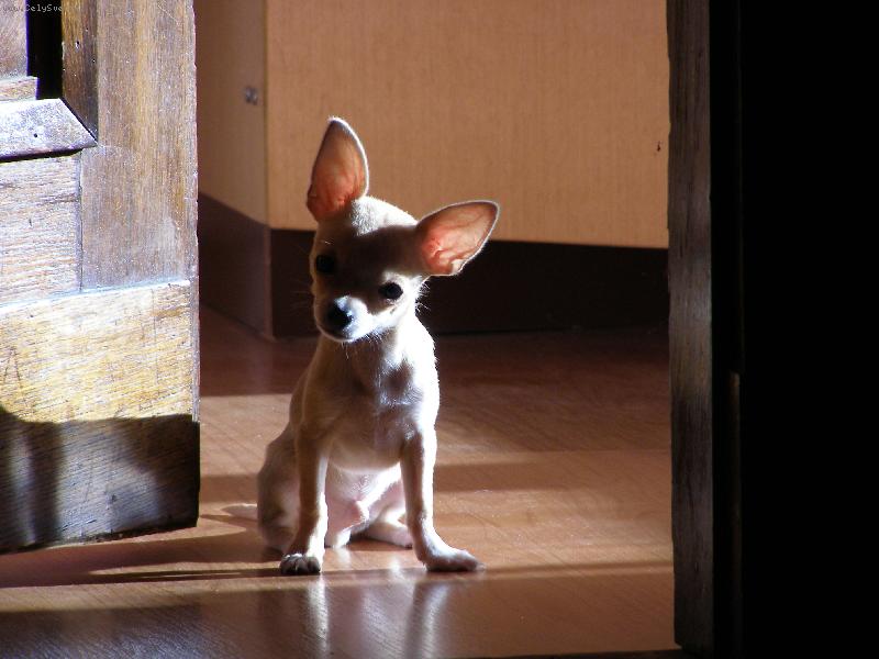 Foto: Gucci-M�j mil��ek Gucci :-*