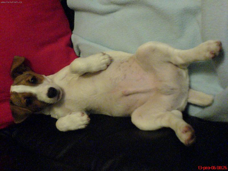 Foto: Tak takhle mi je nejl�p-Mailou a jeho nejobl�ben�j�� �innost