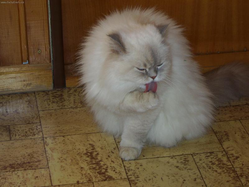 Foto: Takhle se myjeme:-)