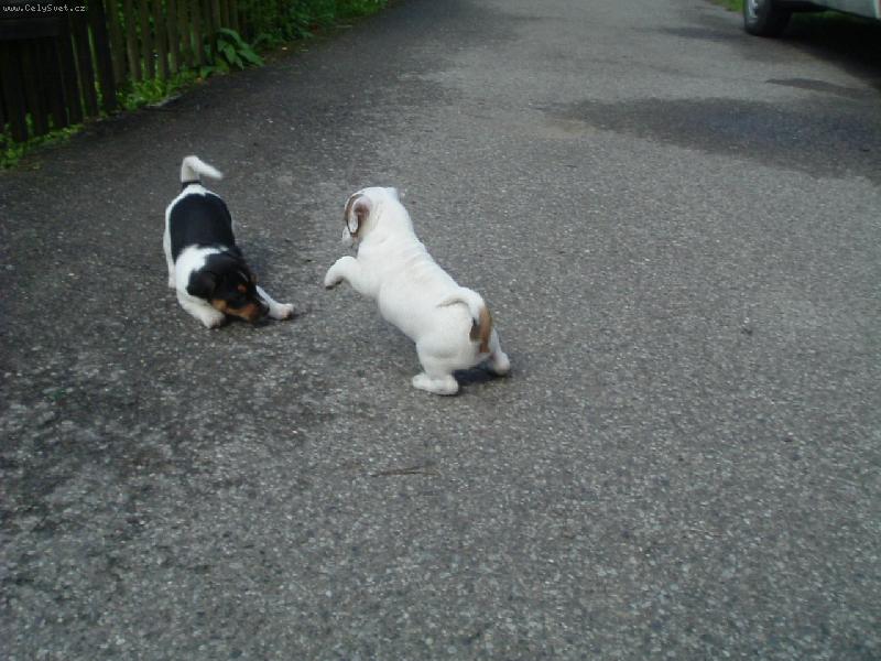 Foto: Hra na babu-Jen po�kej a� t� chyt�m,j� ti d�m mi ut�kat!!!