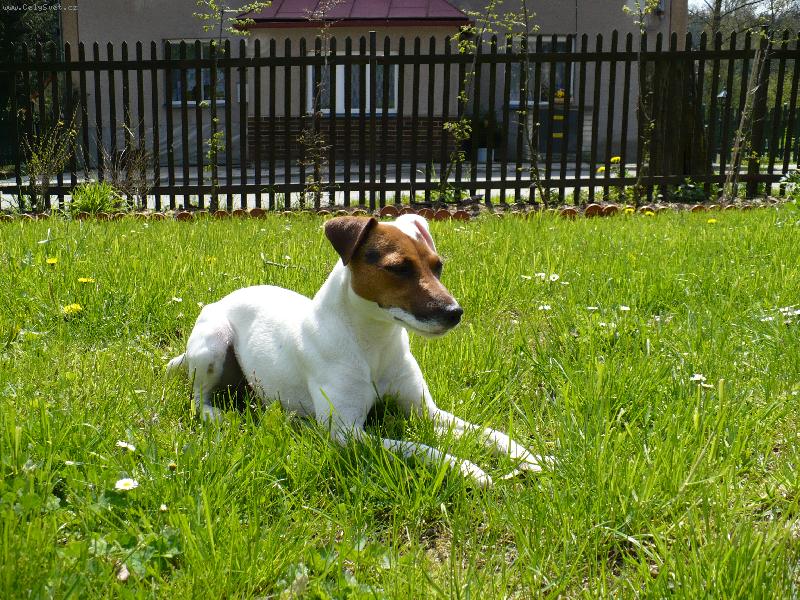 Foto: Kessy-na�e krysi�ka