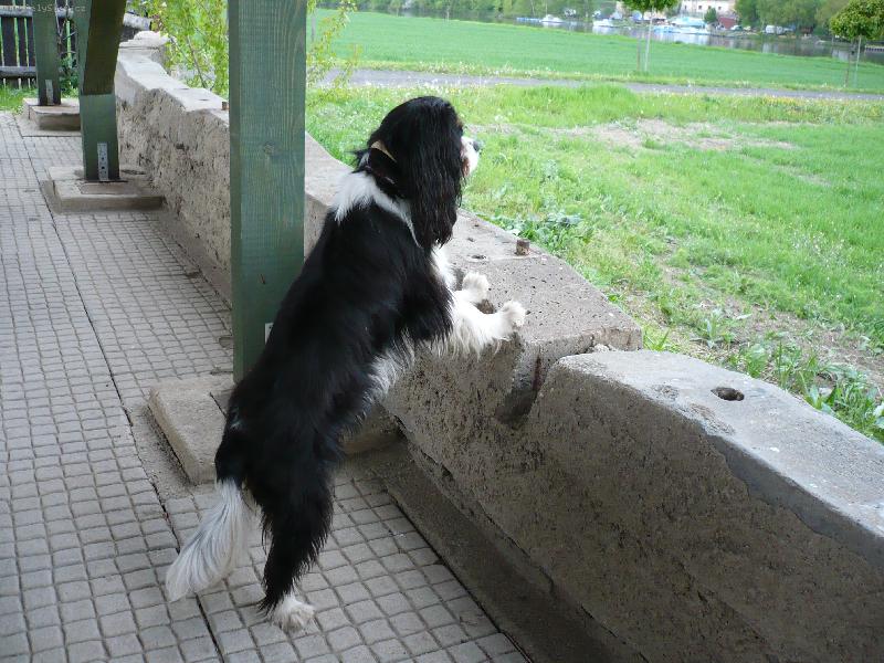 Foto: Co se to tam d�je???