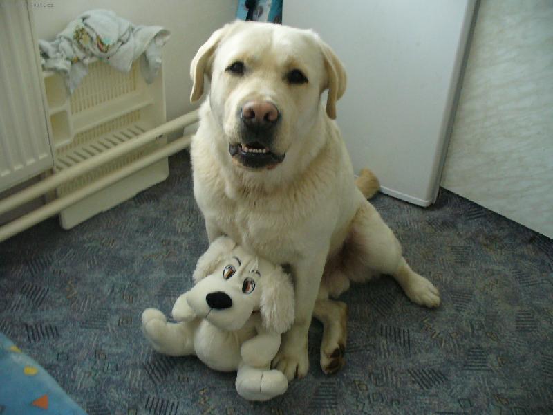 Foto: Jako by mu z oka vypadl-Celej po tat�nkovi �he..?