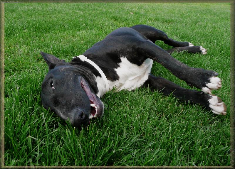 Foto: Ozzynek :D-Krte�ek se raduje ze �ivota :D