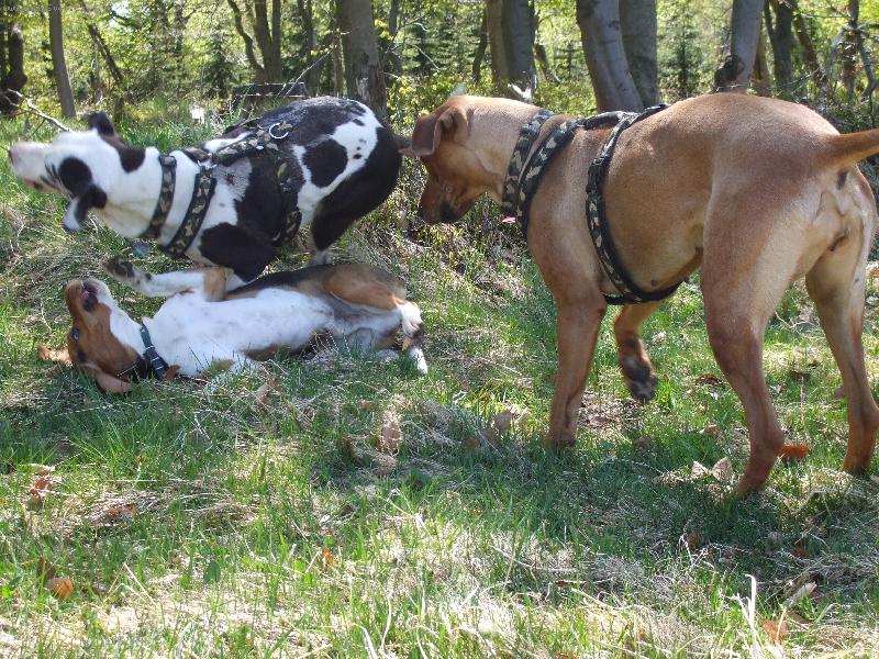 Foto: j� a moji kamar�di-i kdy� to tak nevypad�,hrajeme si!!