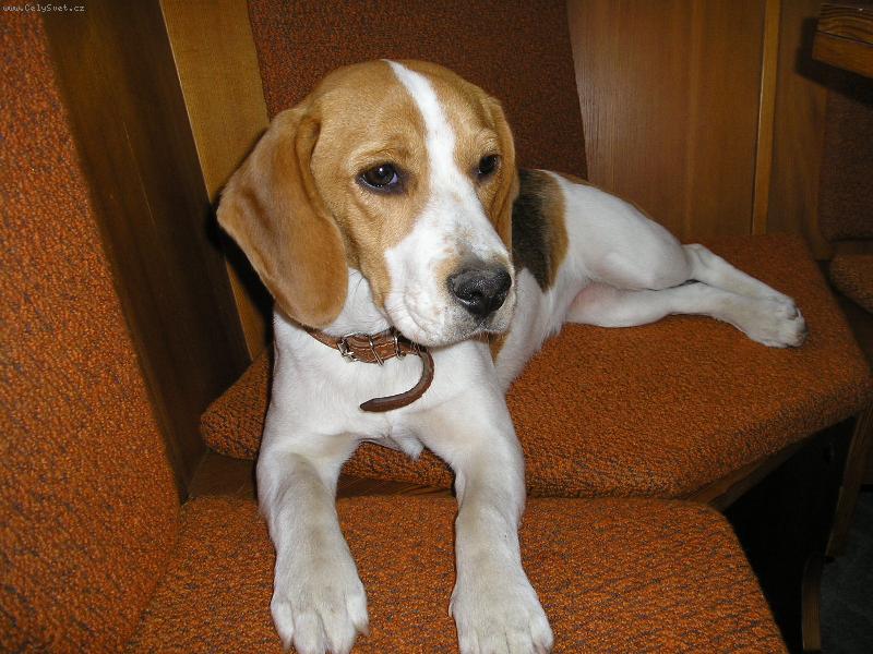 Foto: Betty-N� mazl��ek