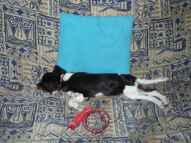 Foto: Nechte m� sp�t.....