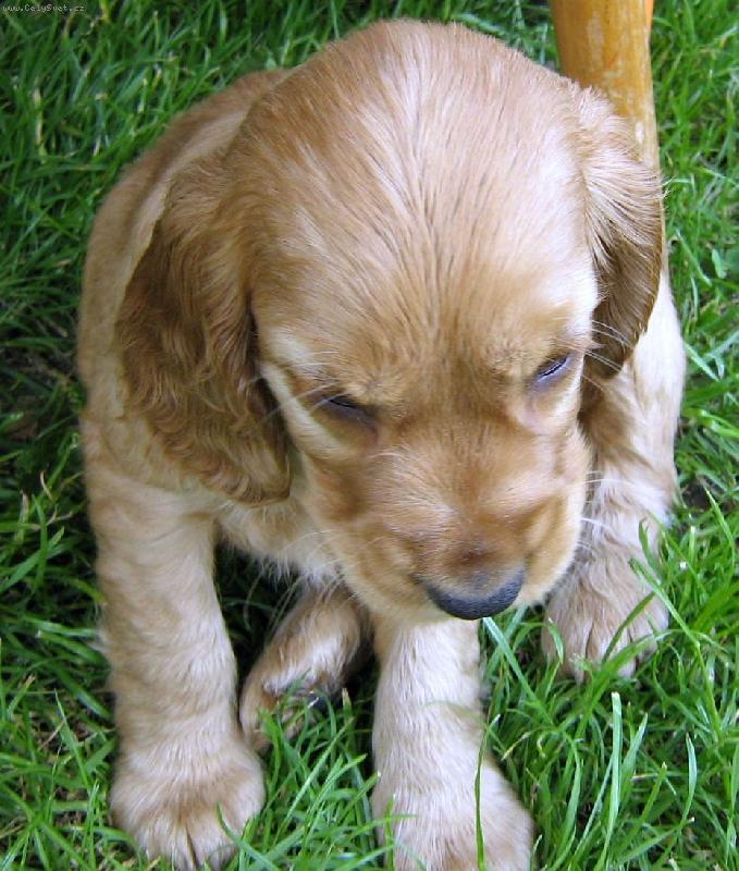 Foto: "p�em��l�m m�m sp�t nebo si hr�t?"