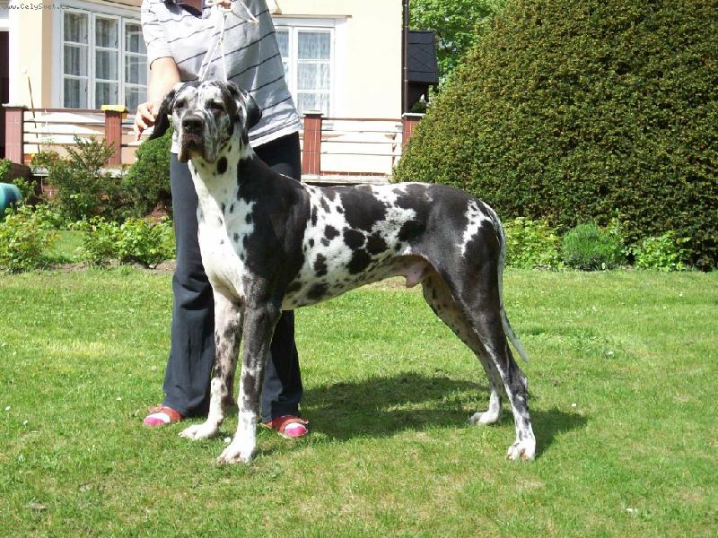 Foto: Ralf Hv�zdn� luh-Ralf Hv�zdn� luh