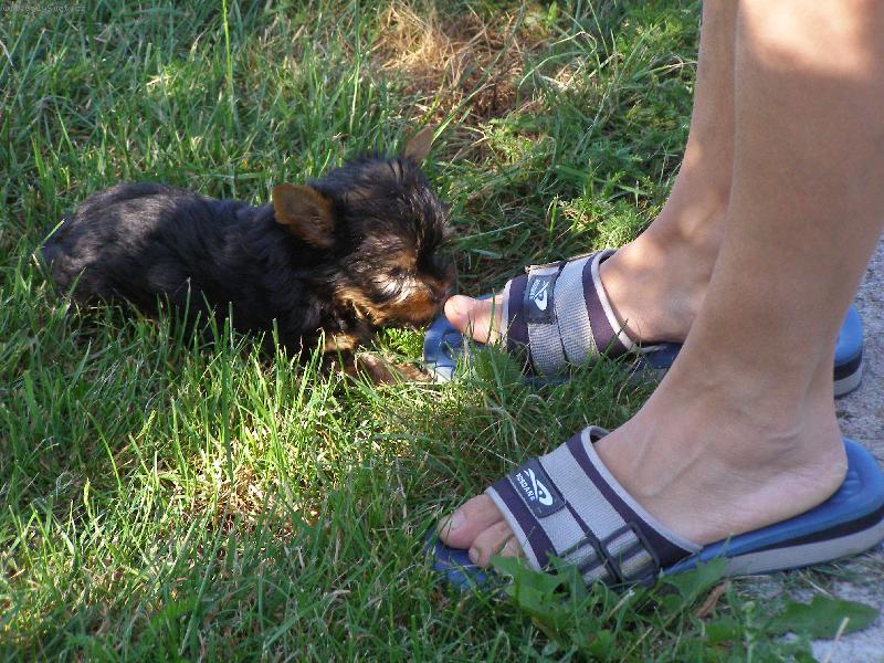 Foto: babi�iny nohy jsou nejlep��