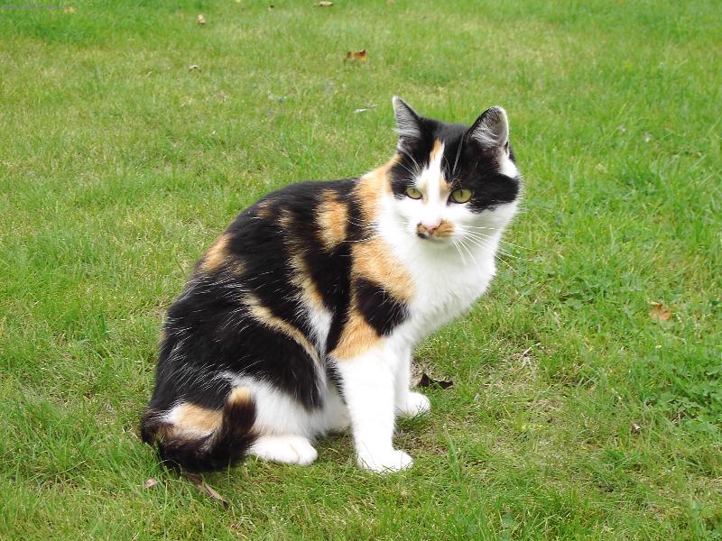 Foto: L�zinka-N� mazel