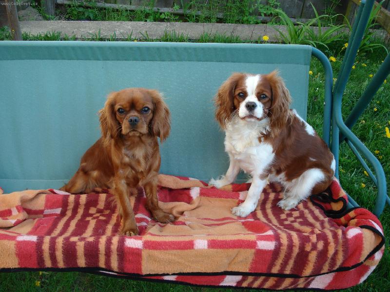 Foto: Anet a Lilka-... na�e holky :)