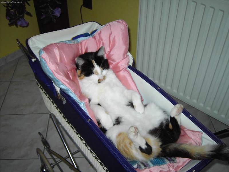 Foto: L�zinka-Jako miminko