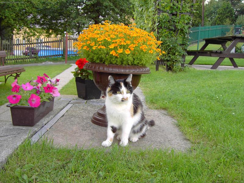 Foto: L�zinka-Na na�� zahrad�