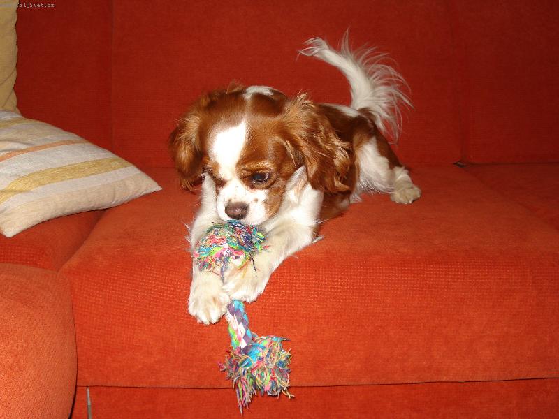 Foto: Lilinka-...se sv�m obl�ben�m uzl�kem :)