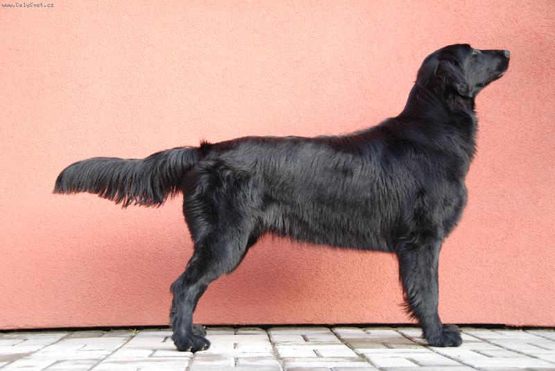 Foto: Arwen-ve v�stavn�m postoji