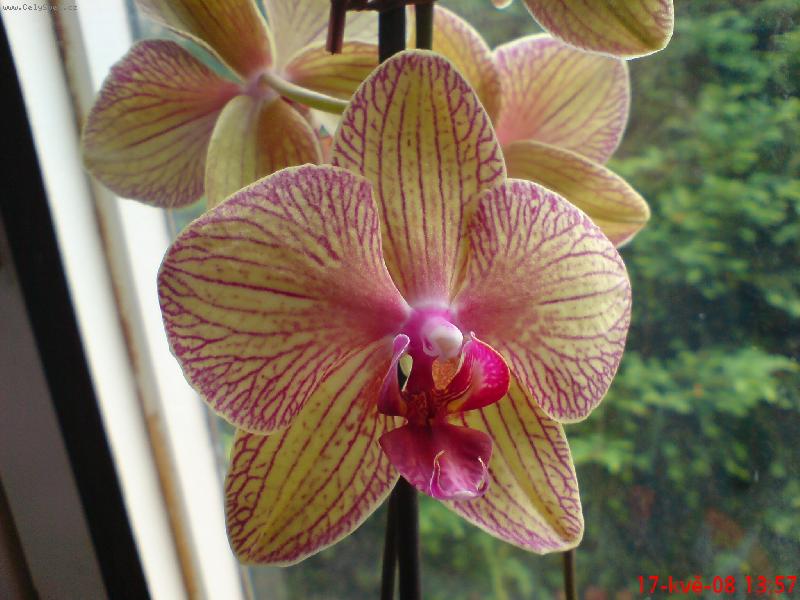 Foto: Jedna z m� sb�rky