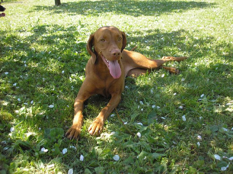 Foto: ul�tan� Tessinka