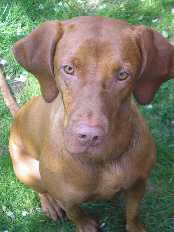 Foto: Tessinka...-Tag to je moe zlot��ko...u� j� jsou 3 roky