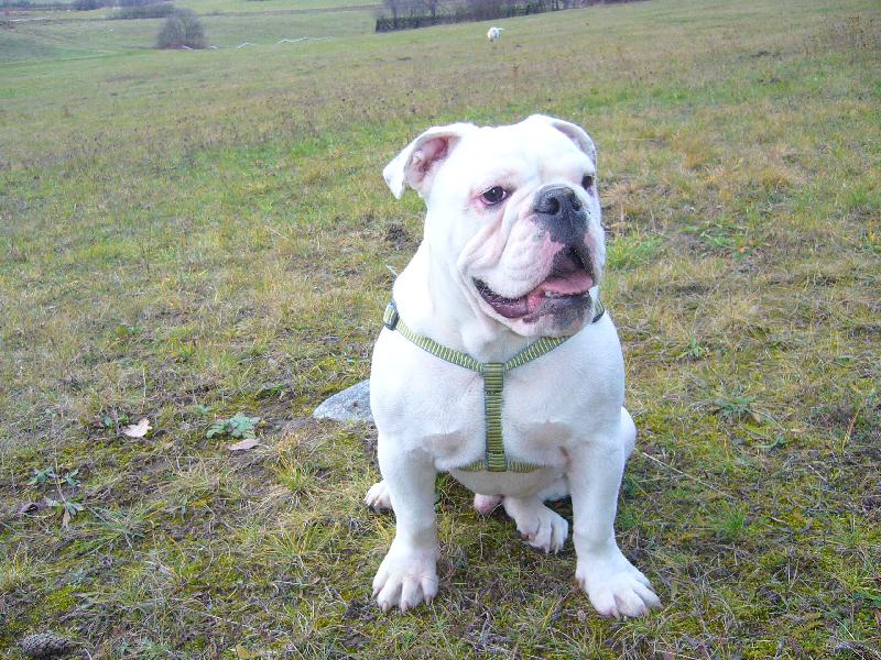 Foto: Monty n� �len-Venku to m� nejrad�ji