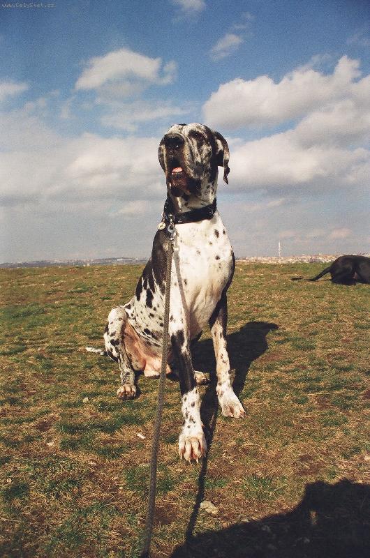 Foto: Ralf Hv�zdn� luh ( Jon� )-Ralf Hv�zdn� luh ( Jon� )