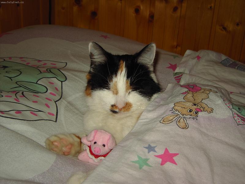 Foto: L�za-Dobrou noc