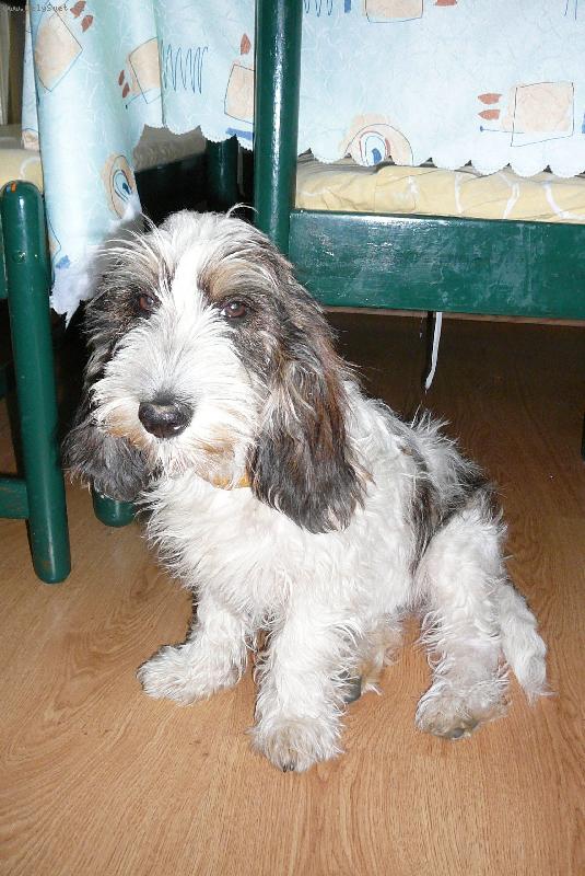 Foto: Josefina Elve Bohemica-Krasavice