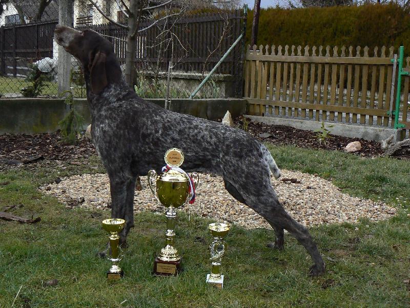 Foto: AMIRA Z �IMELICK�CH STR�N�-po v�stav� BOB,BIG II,ZV,PZ,VZ