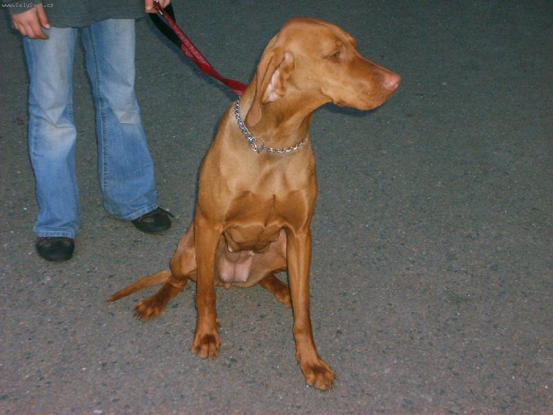 Foto: Ezra-za 14 dn� mi bude rok